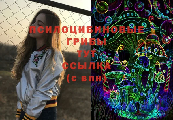 тгк Вяземский